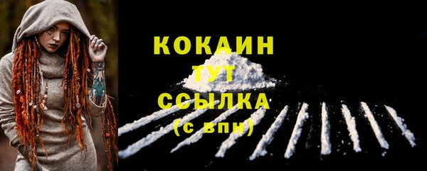 СК Коряжма