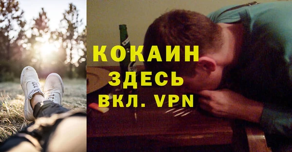 сатива Краснослободск