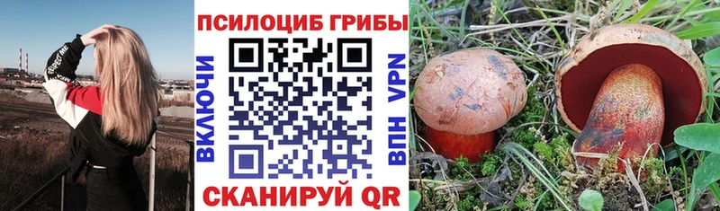 Купить закладки  Усть-Кут  Псилоцибиновые грибы Magic Shrooms 