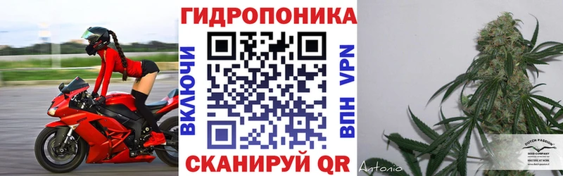 МАРИХУАНА AK-47  Купить закладки  Усть-Кут 